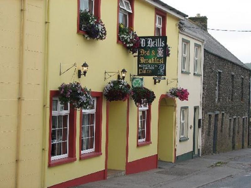 O Neills Bed And Breakfast Dingle Exteriér fotografie